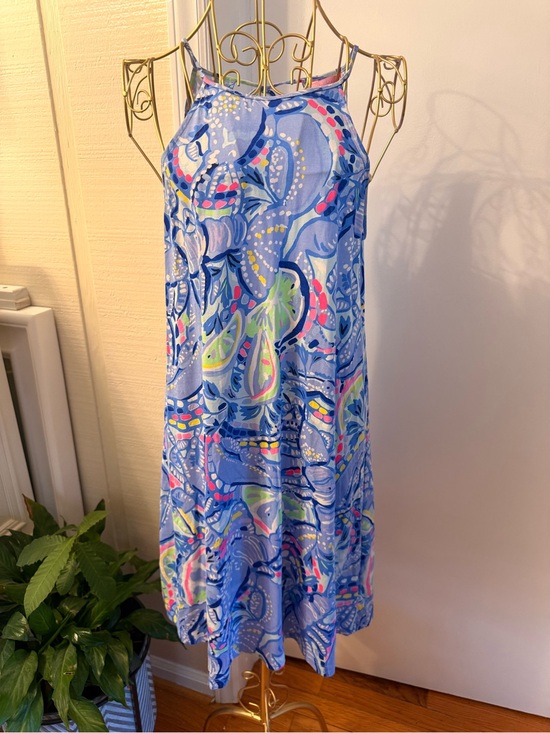 Lilly Pulitzer Dresses & Skirts - Lilly Pulitzer Pink Label Blue Floral dress - XS